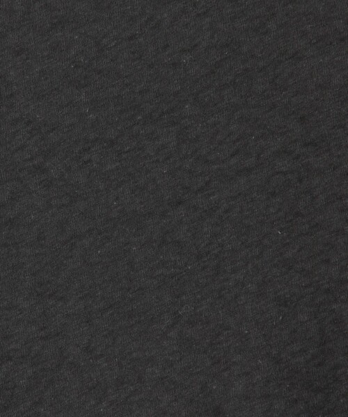JAMES PERSE(ジェームスパース)の「コットンジャージークルーTシャツ WRFJ3003(Tシャツ/カットソー・レディース・ブラック系その他/グレー/ホワイト/ブルー系その他・2/1)」の15枚目の写真