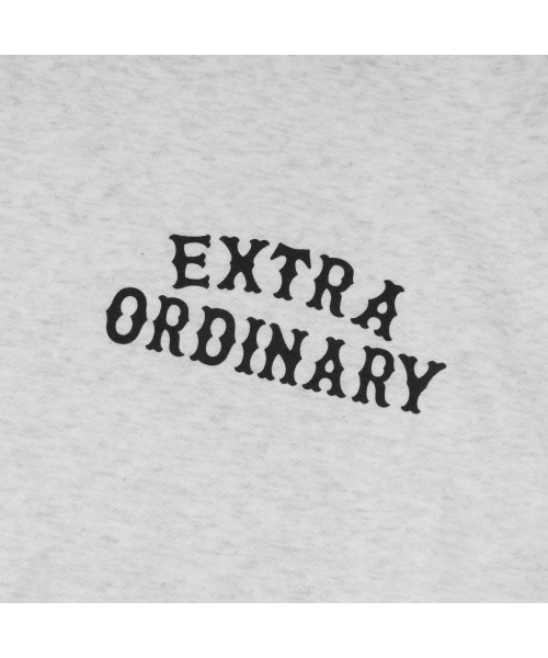 EXTRAORDINARY(エクストラオーディナリー)の「EX LOGO CREWNECK L.M/GREY(スウェット・メンズ・その他・X-LARGE/LARGE)」の5枚目の写真