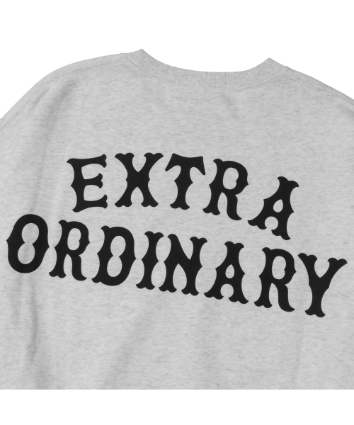 EXTRAORDINARY(エクストラオーディナリー)の「EX LOGO CREWNECK L.M/GREY(スウェット・メンズ・その他・X-LARGE/LARGE)」の7枚目の写真