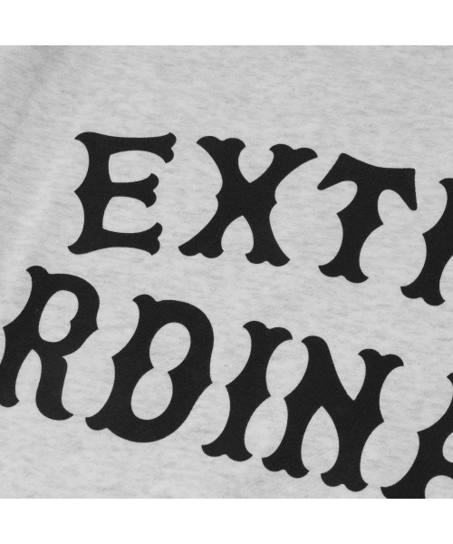 EXTRAORDINARY(エクストラオーディナリー)の「EX LOGO CREWNECK L.M/GREY(スウェット・メンズ・その他・X-LARGE/LARGE)」の8枚目の写真