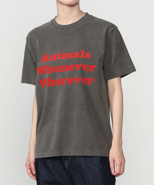 Bshop(ビショップ)の「STUDIO WEAREALLANIMALS | Whatever Whenever 半袖Tシャツ WOMEN(Tシャツ/カットソー・レディース・ブラック系その他・S)」の12枚目の写真