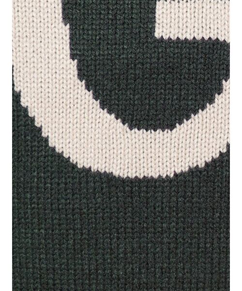 GYDA（ジェイダ）の「G SLEEVELINE KT TOPS（ニット/セーター・レディース・ブラック/ベージュ/グリーン・FREE）」の18枚目の写真