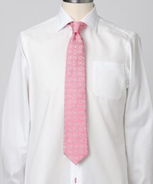 DRESSTERIOR（ドレステリア）の「ペイズリータイ（ネクタイ）」