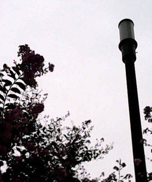 BIRTHDAY BAR(バースデイバー)の「レトロ-1 超小型デジタルカメラ(生活家電・レディース・ホワイト/オレンジ・0)」の20枚目の写真