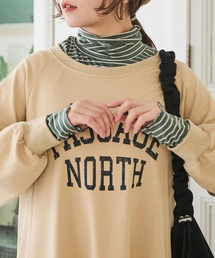 タートルボーダーTシャツ