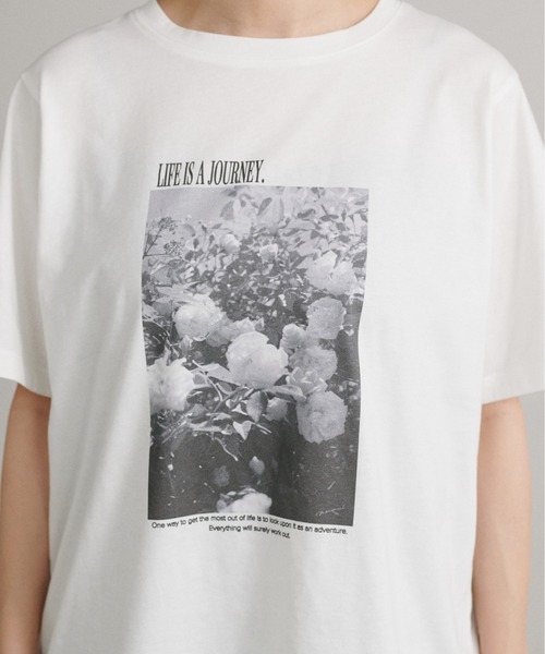 LARUTA（ラルータ）の「【LARUTA】アソートフォトTシャツ［汗染み防止機能付き］（Tシャツ/カットソー・レディース・その他1/その他2/その他3・FREE）」の14枚目の写真