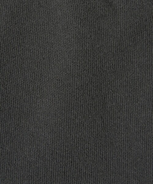 MONKEY TIME(モンキータイム)の「オゾンウォッシュ ベロア バックジップ クルーネック(スウェット・メンズ・ダークグレー/パープル・S/M/L/XL)」の21枚目の写真