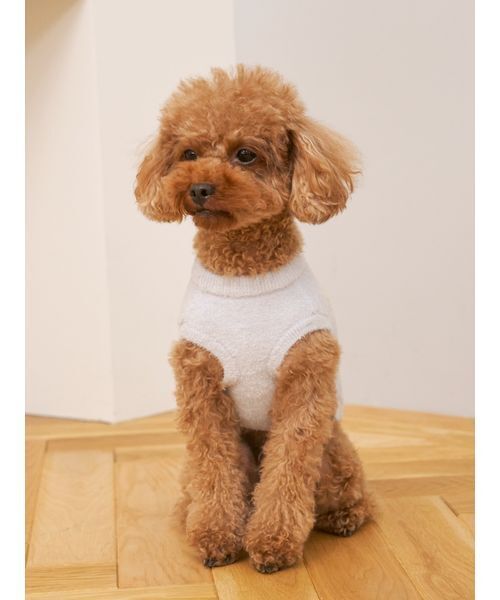 gelato pique（ジェラートピケ）の「【CAT&DOG】スムーズィートイプードル柄ジャガードプルオーバー（ペットウェア・レディース・ブラウン/ピンク/ブルー/グレー・L/S/M）」の6枚目の写真