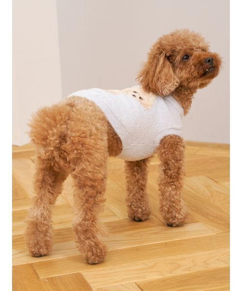 gelato pique（ジェラートピケ）の「【CAT&DOG】スムーズィートイプードル柄ジャガードプルオーバー（ペットウェア・レディース・ブラウン/ピンク/ブルー/グレー・L/S/M）」の8枚目の写真