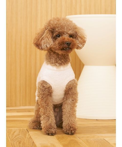 gelato pique（ジェラートピケ）の「【CAT&DOG】スムーズィートイプードル柄ジャガードプルオーバー（ペットウェア・レディース・ブラウン/ピンク/ブルー/グレー・L/S/M）」の12枚目の写真