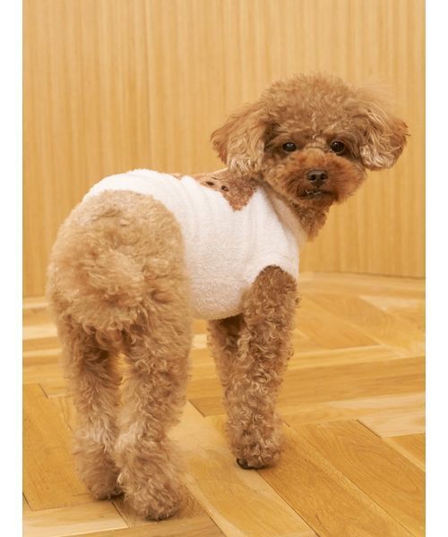 gelato pique（ジェラートピケ）の「【CAT&DOG】スムーズィートイプードル柄ジャガードプルオーバー（ペットウェア・レディース・ブラウン/ピンク/ブルー/グレー・L/S/M）」の14枚目の写真