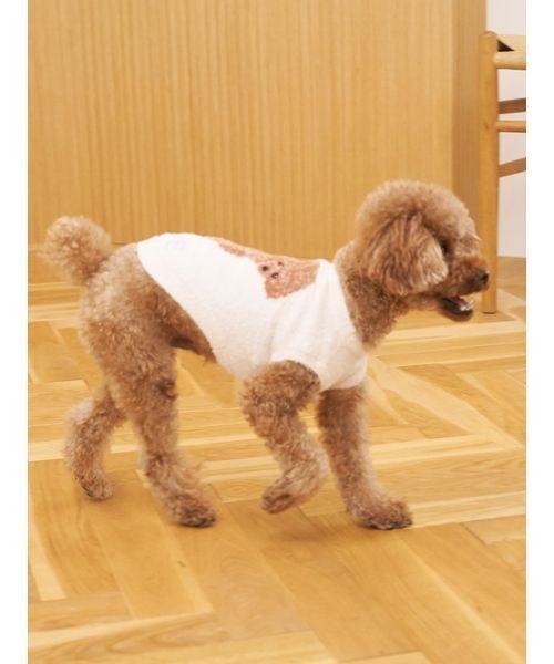 gelato pique（ジェラートピケ）の「【CAT&DOG】スムーズィートイプードル柄ジャガードプルオーバー（ペットウェア・レディース・ブラウン/ピンク/ブルー/グレー・L/S/M）」の17枚目の写真