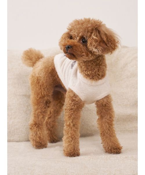 gelato pique（ジェラートピケ）の「【CAT&DOG】スムーズィートイプードル柄ジャガードプルオーバー（ペットウェア・レディース・ブラウン/ピンク/ブルー/グレー・L/S/M）」の21枚目の写真