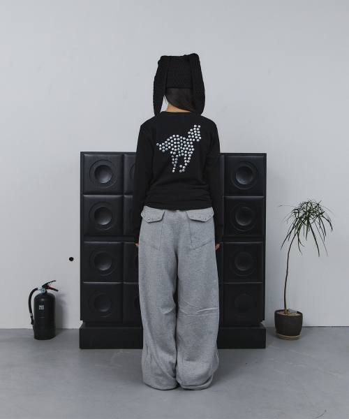 TANSANMAGNESIUM(タンサン マグネシウム)の「ポニーホットフィックスロングスリーブ(ブラック)(Tシャツ/カットソー・レディース・その他・1/2)」の1枚目の写真