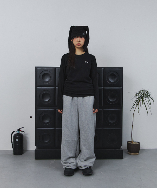 TANSANMAGNESIUM(タンサン マグネシウム)の「ポニーホットフィックスロングスリーブ(ブラック)(Tシャツ/カットソー・レディース・その他・1/2)」の2枚目の写真
