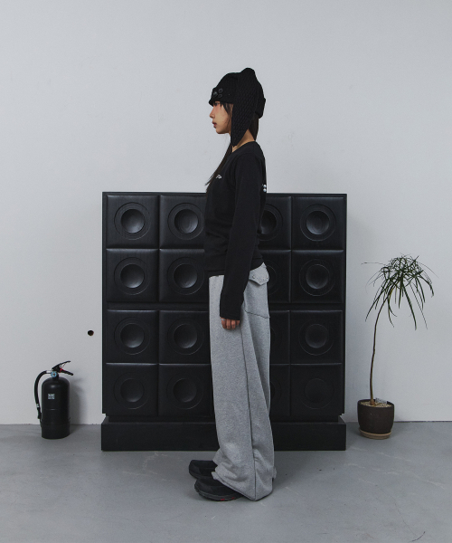 TANSANMAGNESIUM(タンサン マグネシウム)の「ポニーホットフィックスロングスリーブ(ブラック)(Tシャツ/カットソー・レディース・その他・1/2)」の4枚目の写真