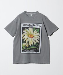 niche. | 【別注】<Niche.>SHASTA DAISY FLOWER Tシャツ(Tシャツ/カットソー)