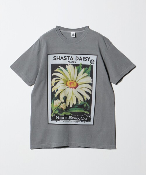 niche.(ニッチ)の「【別注】<Niche.>SHASTA DAISY FLOWER Tシャツ(Tシャツ/カットソー・メンズ・ライトグレー・M/L)」の1枚目の写真