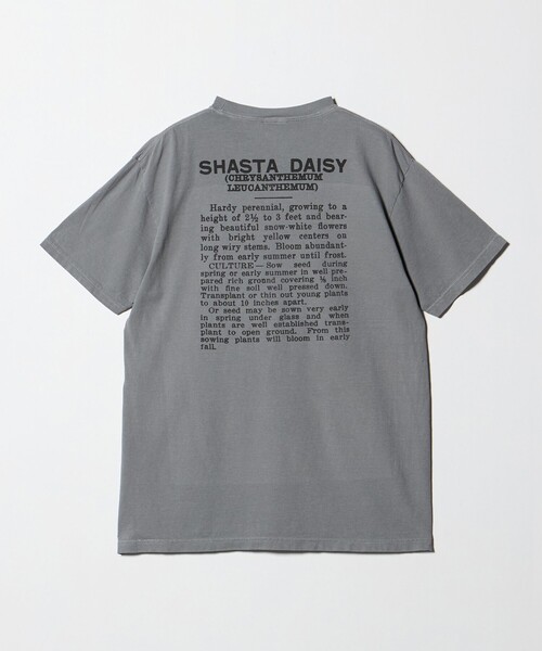 niche.(ニッチ)の「【別注】<Niche.>SHASTA DAISY FLOWER Tシャツ(Tシャツ/カットソー・メンズ・ライトグレー・M/L)」の2枚目の写真