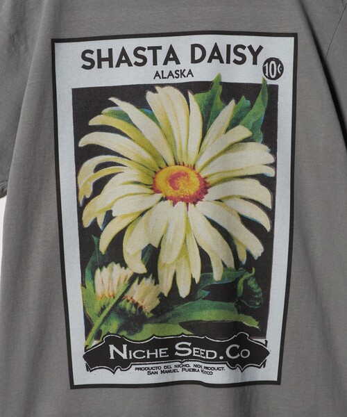 niche.(ニッチ)の「【別注】<Niche.>SHASTA DAISY FLOWER Tシャツ(Tシャツ/カットソー・メンズ・ライトグレー・M/L)」の6枚目の写真