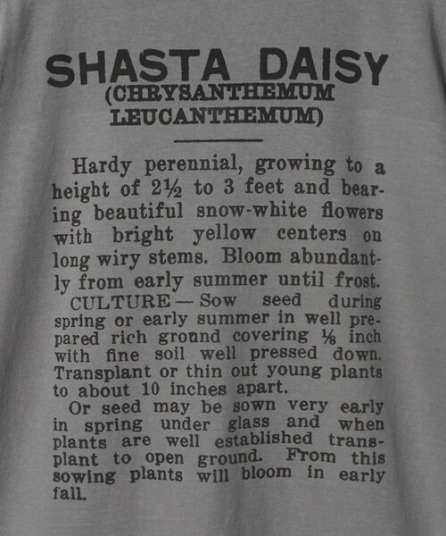 niche.(ニッチ)の「【別注】<Niche.>SHASTA DAISY FLOWER Tシャツ(Tシャツ/カットソー・メンズ・ライトグレー・M/L)」の7枚目の写真