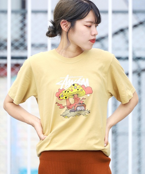 STUSSY/ステューシー SOMETHING'S COOKIN TEE Tシャツ（Tシャツ