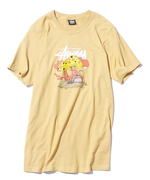 STUSSY/ステューシー SOMETHING'S COOKIN TEE Tシャツ（Tシャツ