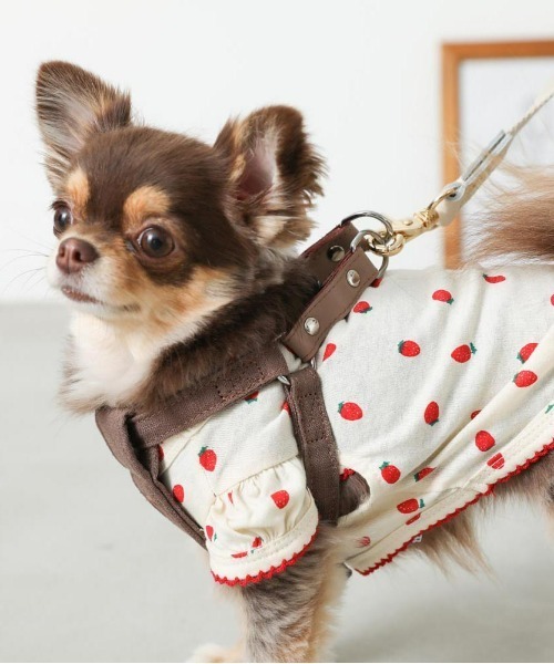 moncheri（モンシェリ）の「レザー×リネンハーネス（リード/ハーネス/首輪・レディース・ブルー/ベージュ/ブラウン/カーキ/ピンク/チャコールグレー・S/L/M/XS/XL）」の11枚目の写真