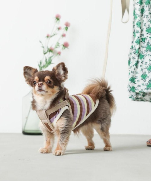 moncheri（モンシェリ）の「レザー×リネンハーネス（リード/ハーネス/首輪・レディース・ブルー/ベージュ/ブラウン/カーキ/ピンク/チャコールグレー・S/L/M/XS/XL）」の12枚目の写真