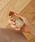 BIRTHDAY BARio[XfCo[j́uySenteur et Beautezt`NVbN s[~Xgi[tOX/jvbzCg