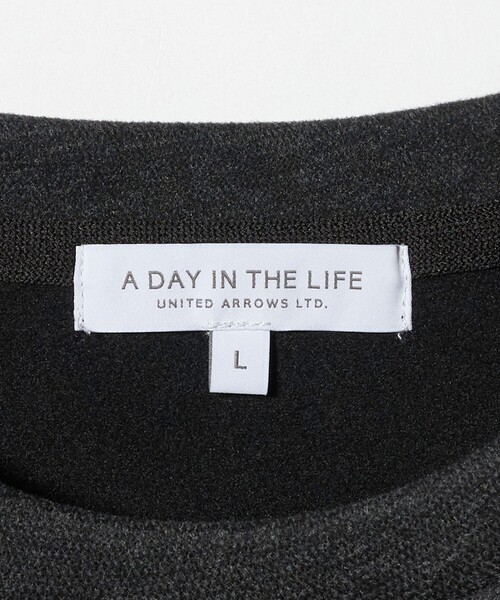 A DAY IN THE LIFE UNITED ARROWS(アデイインザライフユナイテッドアローズ)の「ピーチ ドビー ベーシックカットソー<A DAY IN THE LIFE>(Tシャツ/カットソー・メンズ・ブラック/ライトグレー/ダークグレー・L/M)」の15枚目の写真