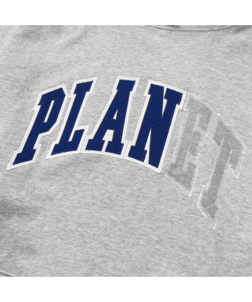 EXTRAORDINARY（エクストラオーディナリー）の「PLANET APPLIQUE HOODIE L/GREY（パーカー・メンズ・その他・LARGE/MEDIUM/X-LARGE）」の6枚目の写真