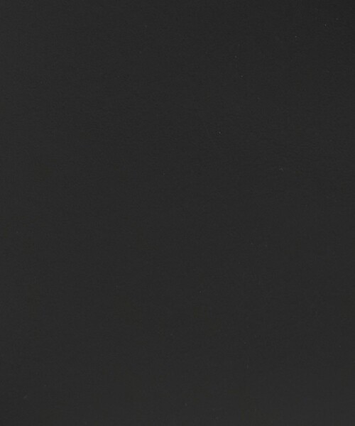 Steven Alan（スティーブンアラン）の「＜The Bagmati＞VANITI BAG/バッグ（ハンドバッグ・レディース・ブラック/ナチュラル・FREE）」の14枚目の写真