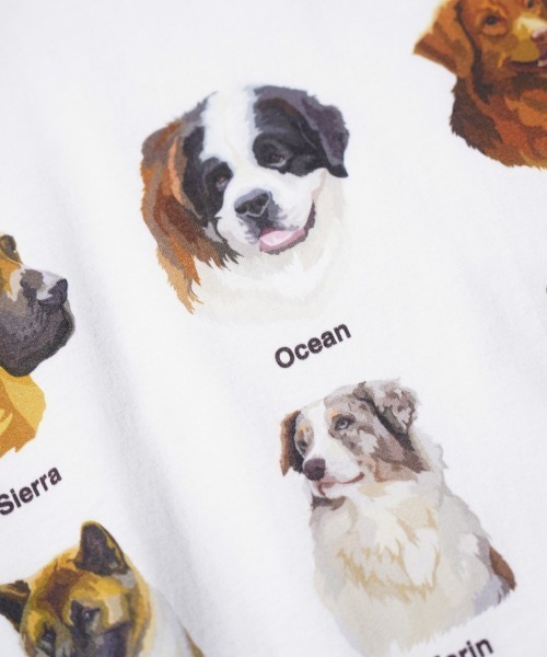 JERZEES(ジャージーズ)の「JERZEES / ジャージーズ "9 DOGS" SS TEE ドッグ Tシャツ(Tシャツ/カットソー・メンズ・ホワイト/ブラック・MEDIUM/LARGE/X-LARGE)」の10枚目の写真
