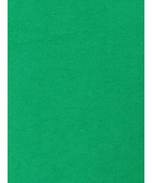 Ungrid（アングリッド）の「ウォッシュショートデザインパーカー（パーカー・レディース・ライトグレー/レッド/グリーン・FREE）」の22枚目の写真