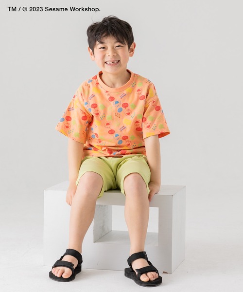JAM & LINK(ジャムアンドリンク)の「セサミストリート 半袖Tシャツ(Tシャツ/カットソー・キッズ・ブルー/オレンジ系/レッド/ホワイト・100cm/130cm/90cm/110cm/120cm/80cm)」の15枚目の写真