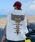 MGV�i�G���W�[���B�[�j�́u�o�b�N�v�����g�m�[�X���[�u�i�^���N�g�b�v�j�v�b�z���C�g