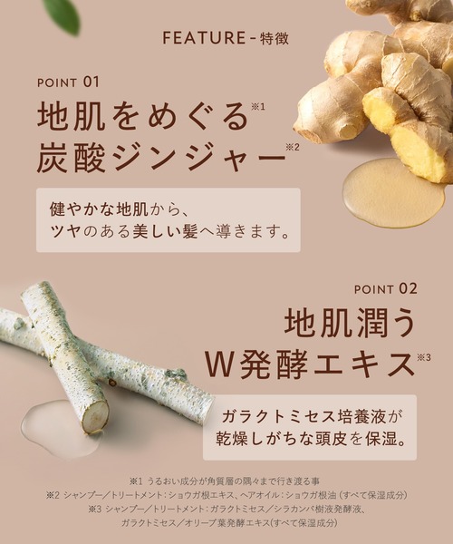 BOTANIST ROOTH　シャンプートリートメント詰め替えセットx３　　計6 Amazon | [旧モデル] BOTANIST ボタニスト ROOTH ルース