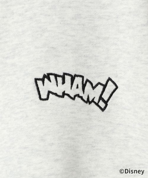 PBLIM(ページボーイリム)の「PBLIM/ドナルド/ハーフZIPスウェット(スウェット・レディース・グリーン/ネイビー/ライトグレー・MEDIUM/LARGE)」の13枚目の写真