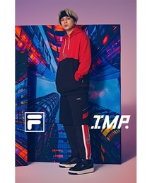 FILA(tB)́yIMP. ֑׉䂳/IB񒅗pzEChpc(̑pc)