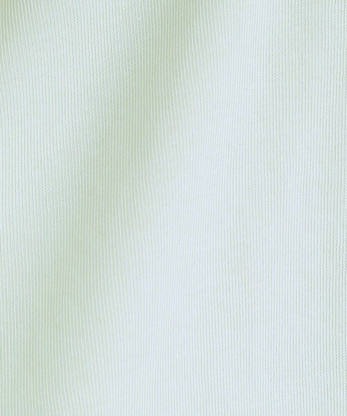 DRESKIP(ドレスキップ)の「【ひんやり/プチプラ】女性らしさ溢れる お袖シアーフリルトップス(Tシャツ/カットソー・レディース・グリーン系/ブラック/ライトブルー/オフホワイト・04/01/02/03)」の8枚目の写真