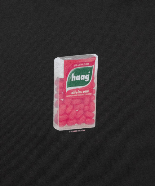 haag(ヘイグ)の「a pocket mint t-sh (charcoal)(Tシャツ/カットソー・レディース・その他・FREE)」の14枚目の写真