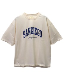 カレッジロゴBIGTEE(M1)