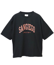 カレッジロゴBIGTEE(M1)