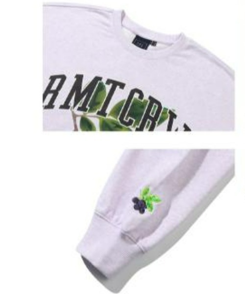 ROMANTIC CROWN（ロマンティッククラウン）の「ROMANTIC CROWN(ロマンティッククラウン) /GARDENING BERRY SWEAT SHIRT/ガーデニングベリー クルーネック スウェットシャツ（スウェット・レディース・ライトグレー/ブラック/パープル・M/L/XL）」の16枚目の写真