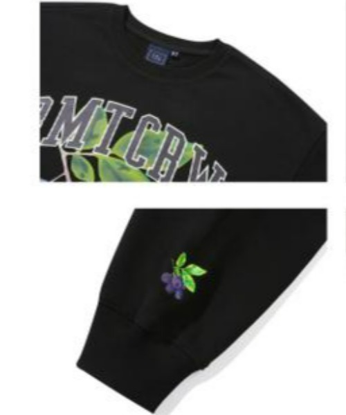 ROMANTIC CROWN（ロマンティッククラウン）の「ROMANTIC CROWN(ロマンティッククラウン) /GARDENING BERRY SWEAT SHIRT/ガーデニングベリー クルーネック スウェットシャツ（スウェット・レディース・ライトグレー/ブラック/パープル・M/L/XL）」の13枚目の写真