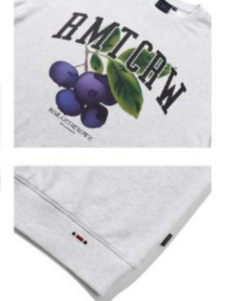 ROMANTIC CROWN（ロマンティッククラウン）の「ROMANTIC CROWN(ロマンティッククラウン) /GARDENING BERRY SWEAT SHIRT/ガーデニングベリー クルーネック スウェットシャツ（スウェット・レディース・ライトグレー/ブラック/パープル・M/L/XL）」の11枚目の写真