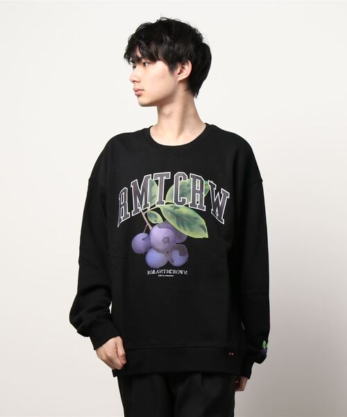 ROMANTIC CROWN（ロマンティッククラウン）の「ROMANTIC CROWN(ロマンティッククラウン) /GARDENING BERRY SWEAT SHIRT/ガーデニングベリー クルーネック スウェットシャツ（スウェット・レディース・ライトグレー/ブラック/パープル・M/L/XL）」の19枚目の写真