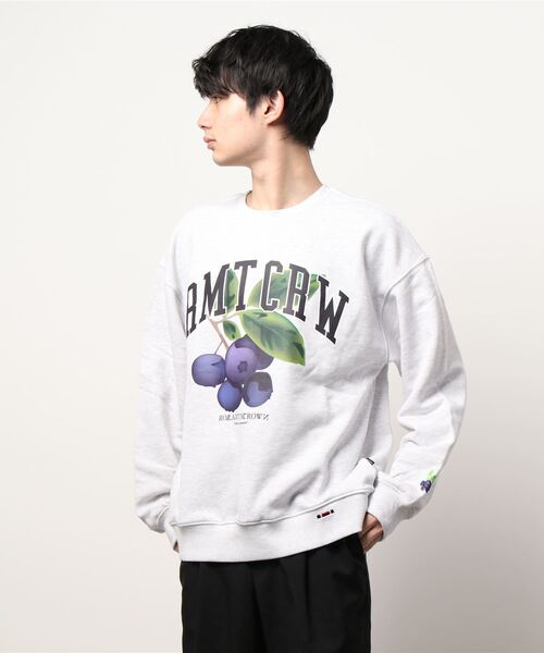 ROMANTIC CROWN（ロマンティッククラウン）の「ROMANTIC CROWN(ロマンティッククラウン) /GARDENING BERRY SWEAT SHIRT/ガーデニングベリー クルーネック スウェットシャツ（スウェット・レディース・ライトグレー/ブラック/パープル・M/L/XL）」の22枚目の写真