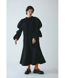 ヘリンドットサイ HeRIN.CYE シャツドレス 黒 シャツワンピース HeRIN.CYE ワンピース Shirt dress (シャツ ドレス) レディース